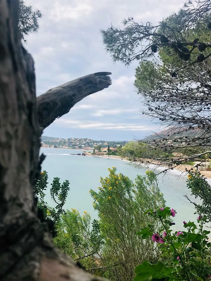Ferienwohnung „La Cigalerie“ Saint-Raphael  0*, Saint-Raphael (Var) France